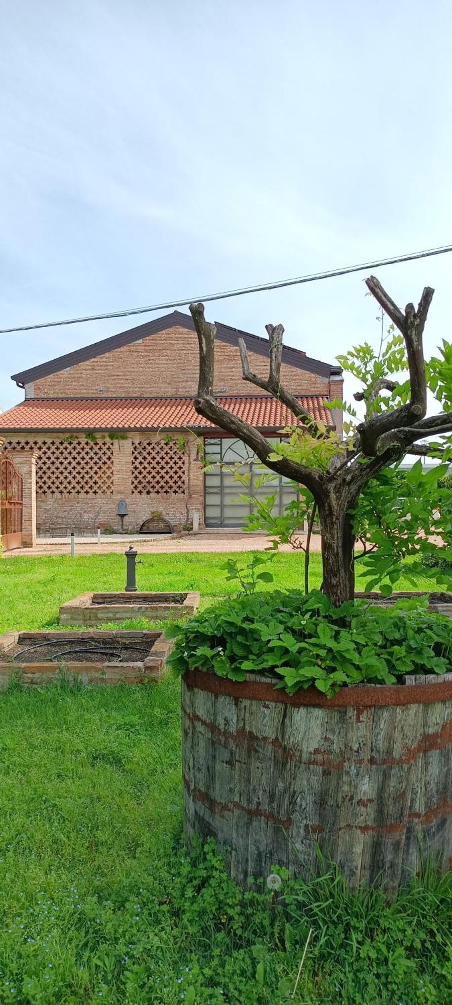 B&B Rocambola Nogara Exterior foto